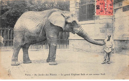 PARIS - Au Jardin Des Plantes - Le Grand Eléphant Saïb Et Son Cornac Neff - Très Bon état - Distrito: 05