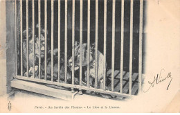 PARIS - Au Jardin Des Plantes - Le Lion Et La Lionne - Très Bon état - Arrondissement: 05
