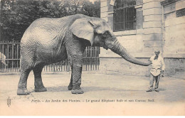 PARIS - Au Jardin Des Plantes - Le Grand Eléphant Saïb Et Son Cornac Neff - Très Bon état - Distrito: 05