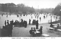 PARIS L'Hiver - Patinage Au Grand Lac Du Bois De Boulogne - Très Bon état - District 16