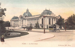 PARIS - Le Petit Palais - Très Bon état - District 08