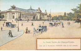 PARIS - Le Grand Palais Des Champs Elysées - Très Bon état - Paris (08)