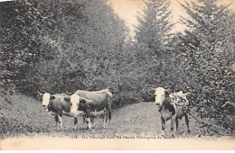 Un Pâturage Dans Les Hautes Montagnes Du Doubs - Très Bon état - Altri & Non Classificati