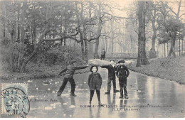 Bois De VINCENNES - Pont Rustique Et Grande Rivière Du Lac Daumesnil - Très Bon état - Vincennes