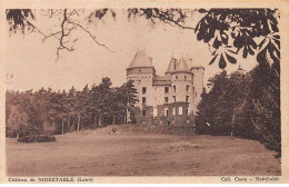 Château De NOIRETABLE - Très Bon état - Noiretable