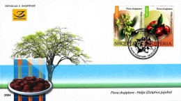 Albania Stamps 2023. Flora: Ziziphus Jujuba. Fruit. Flower. FDC MNH - Albania