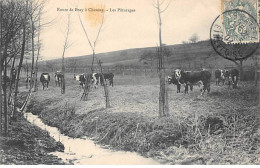 Route De BRAY à CHAUSSY - Les Pâturages - Très Bon état - Andere & Zonder Classificatie