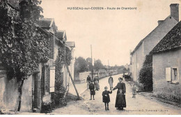 HUISSEAU SUR COSSON - Route De Chambord - Très Bon état - Autres & Non Classés