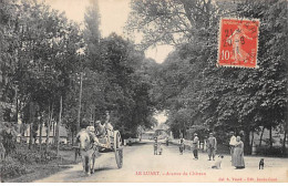 LE LUART - Avenue Du Château - Très Bon état - Otros & Sin Clasificación