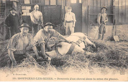 MONTCEAU LES MINES - Descente D'un Cheval Dans La Mine - Très Bon état - Montceau Les Mines