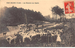 FORT MAHON PLAGE - Les Moutons Aux Sapins - Très Bon état - Fort Mahon