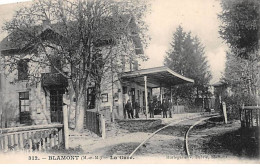 BLAMONT - La Gare - Très Bon état - Blamont