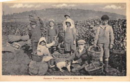 Jeunes Vendangeurs Et Côte De BEAUNE - Très Bon état - Beaune