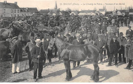 BAUGY - Le Champ De Foire - Examen D'un Cheval - Très Bon état - Baugy