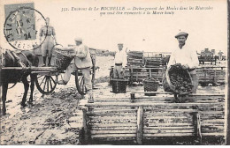 Environs De LA ROCHELLE - Déchargement Des Moules Dans Les Réservoirs - Très Bon état - Other & Unclassified