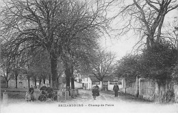 BRIZAMBOURG - Champ De Foire - Très Bon état - Sonstige & Ohne Zuordnung