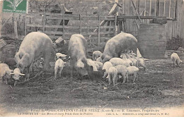 CHATENAY SUR SEINE - La Porcherie - Les Mères Et Leurs Petits Dans La Prairie - Très Bon état - Otros & Sin Clasificación