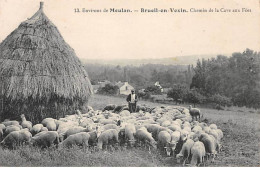 BREUIL EN VEXIN - Chemin De La Cave Aux Fées - Très Bon état - Sonstige & Ohne Zuordnung