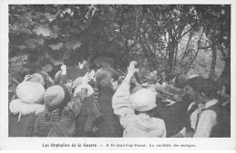 LES ORPHELINS DE LA GUERRE - SAINT JEAN CAP FERRAT - La Cueillette Des Oranges - Très Bon état - Saint-Jean-Cap-Ferrat