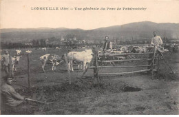 LONGEVILLE - Vue Générale Du Parc De Patahoutchy - Très Bon état - Non Classés