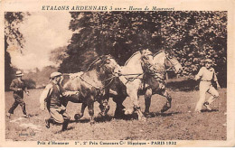 Etalons Ardennais - Haras De MAUREVERT - Paris 1932 - Très Bon état - Otros & Sin Clasificación