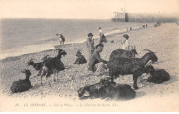 LE TREPORT - Sur La Plage - Le Chevrier Du Béarn - Très Bon état - Le Treport