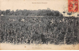 SAINT OUEN Illustré - Vue Champêtre - Les Vendanges - Très Bon état - Saint Ouen