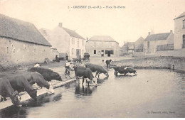 GRESSEY - Place Saint Pierre - Très Bon état - Otros & Sin Clasificación