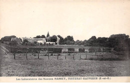 FONTENAY MAUVOISIN - Les Laboratoires Des Savons RAMET - Très Bon état - Other & Unclassified