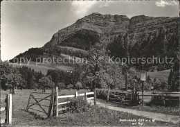 11648115 Rigi-Seebodenalp  Kuessnacht - Autres & Non Classés