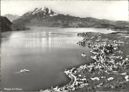 11648068 Weggis Vierwaldstaettersee Pilatus Weggis - Autres & Non Classés