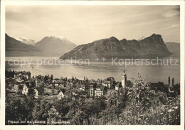 11648038 Vitznau Buergenstock Stanserhorn  Vitznau - Autres & Non Classés