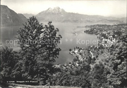 11648016 Weggis Vierwaldstaettersee Pilatus  Weggis - Sonstige & Ohne Zuordnung