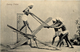 India - Sawing Timber - Inde