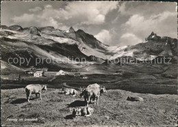 11647928 Tannalp Graustock Kuehe  Melchsee-Frutt - Sonstige & Ohne Zuordnung