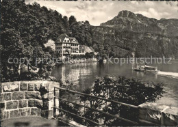 11647922 Gersau Vierwaldstaettersee Hotel Seehof Dampfer Gersau - Sonstige & Ohne Zuordnung