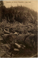 Holzfäller Am Kleinen Falkenstein - Cham