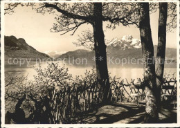 11647898 Hertenstein LU Schloss-Hotel Hertenstein Vierwaldstaettersee Hertenstei - Andere & Zonder Classificatie