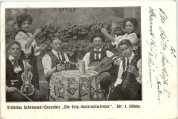 Schrammel Ensemble - Nachtschwärmer - Zangers En Musicus