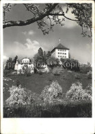 11647833 Gelfingen Schloss Heidegg Kapelle Herrenhaus Gelfingen - Altri & Non Classificati