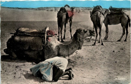 La Priere Dans Le Desert - Maroc - Andere & Zonder Classificatie