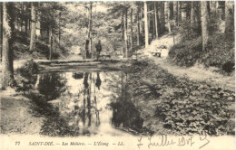 Saint-Die Vosges, Les Molieres - Saint Die