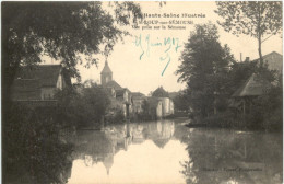 St. Loup-sur Semouse, Vite Prise Sur La Semouse - Altri & Non Classificati