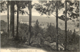 Remiremont, Vue Prise De La Roche Des Bruyeres - Remiremont