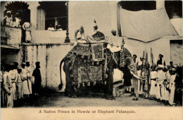 A Native Prince In Howda Ot Elephant Palanquin India - Inde