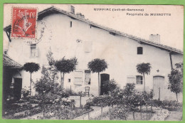 RARE CPA RUFFIAC Propriété De Mussotte 47 Lot Et Garonne - Autres & Non Classés