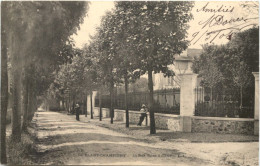 Le Plant Champigny, La Rue Saint Amand - Champigny Sur Marne