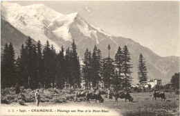 Chamonix, Paturrage Aux Prax Et Le Mont-Blanc - Chamonix-Mont-Blanc