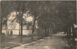 Le Plant Champigny, Boulevard Du Centre - Champigny Sur Marne