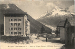 Trelechamp - Hotel Du Col Des Montets Et Aiguille Verte - Autres & Non Classés